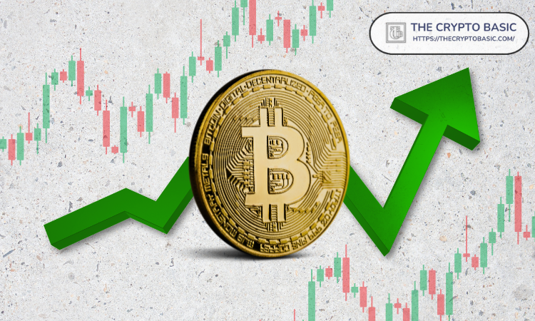 研究人员表示，当前比特币周期感觉像2017年，当时BTC暴涨超过5000%