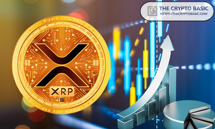 XRP买入机会仍未错过：黑天鹅资本创始人
