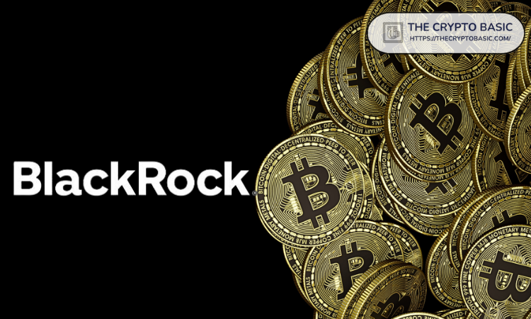 BlackRock表示机构对比特币的采用仍处于早期阶段