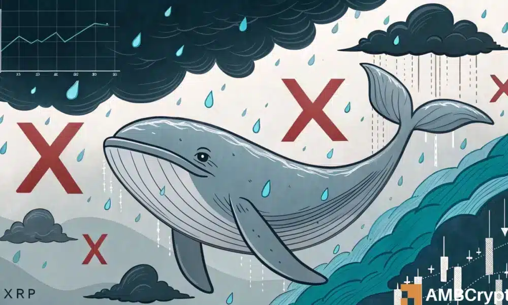 分析XRP四天下跌：大鲸离场，散户该进场了吗？