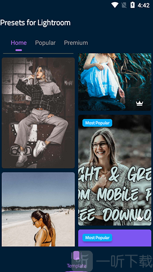 Lr Presets