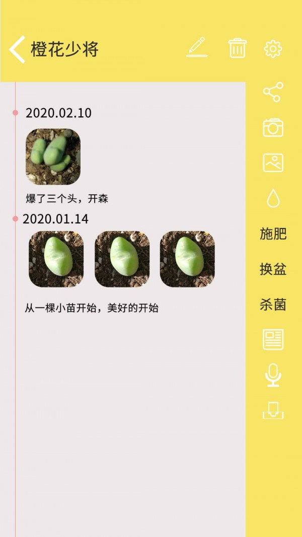 多肉花草日记App 多肉花草日记App