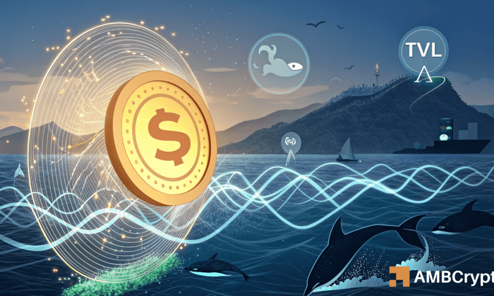 Sonic DEX交易量上涨17%——但这一信号预示趋势可能逆转