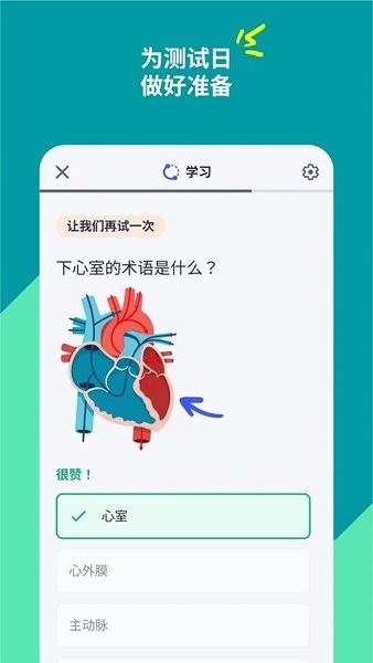 quizlet安卓版下载官方版 quizlet安卓版下载官方版