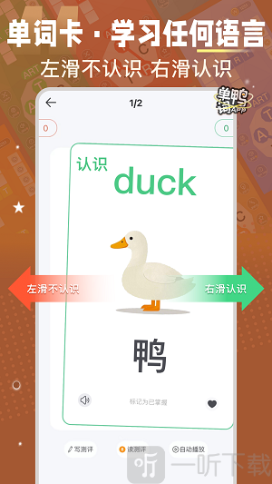 单词鸭