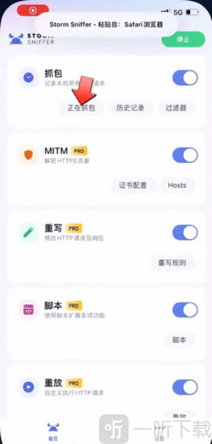 storm小螃蟹
