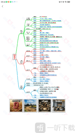 记忆字典