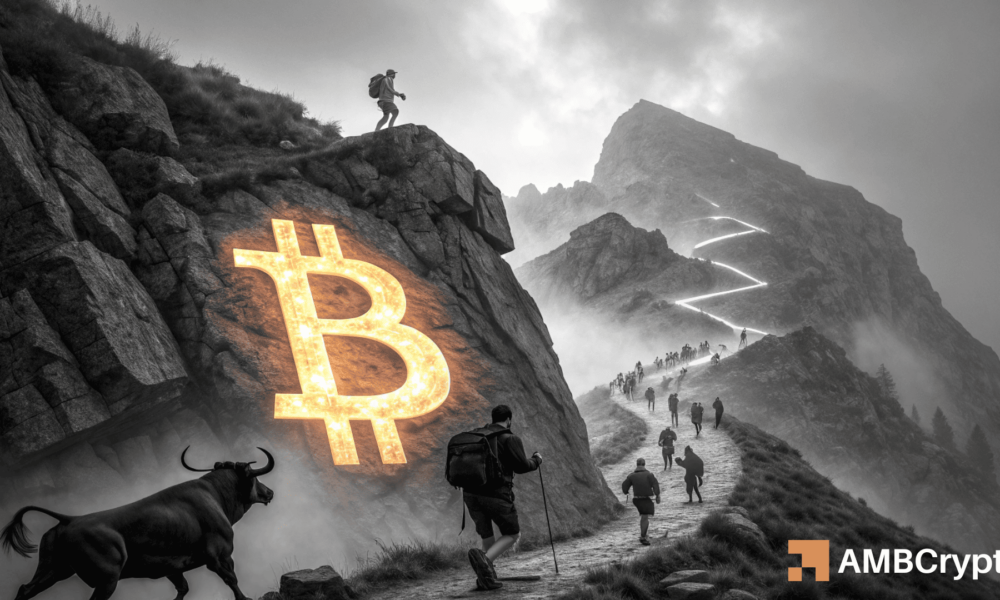 比特币：尽管零售市场下跌10%，但鲸鱼可能推动BTC升至11.1万美元——如何实现？