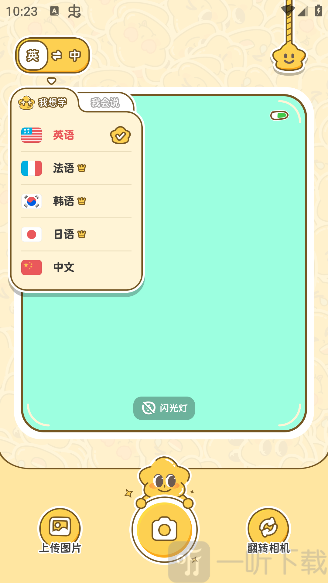 拍拍单词