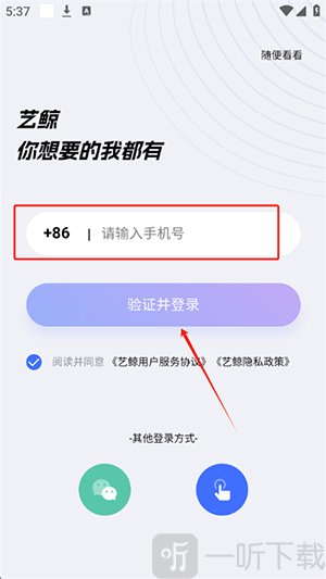 艺鲸