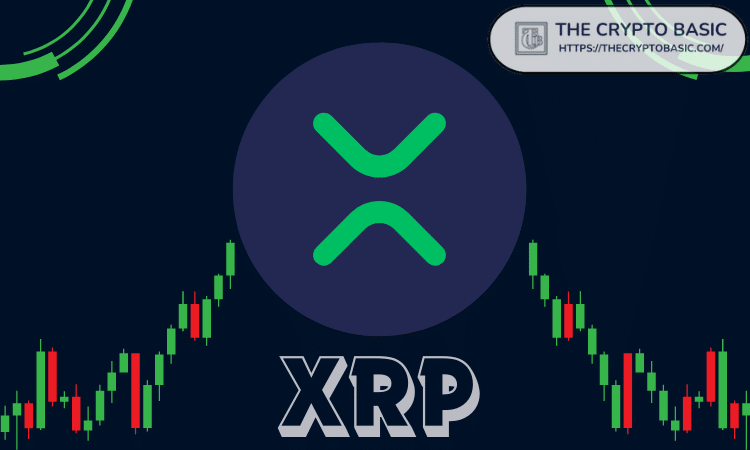 XRP的三锤三火箭，接下来会发生什么？