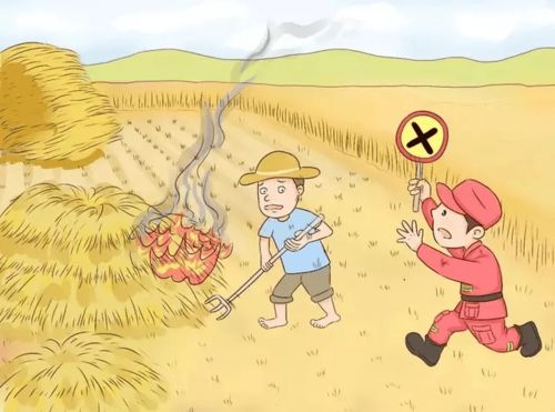 晚安森林揭秘 小咕咚的美食地图大探索