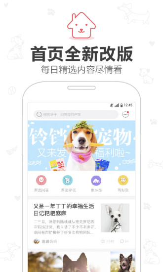 铃铛宠物社区 2