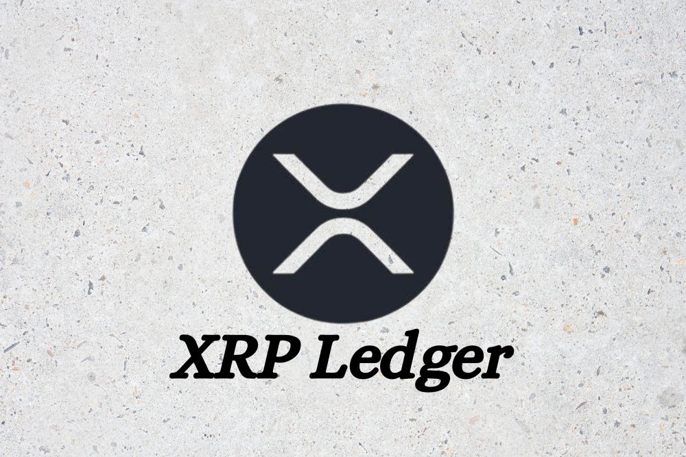 XRPL代币追踪器向XRP持有者发出重要警告