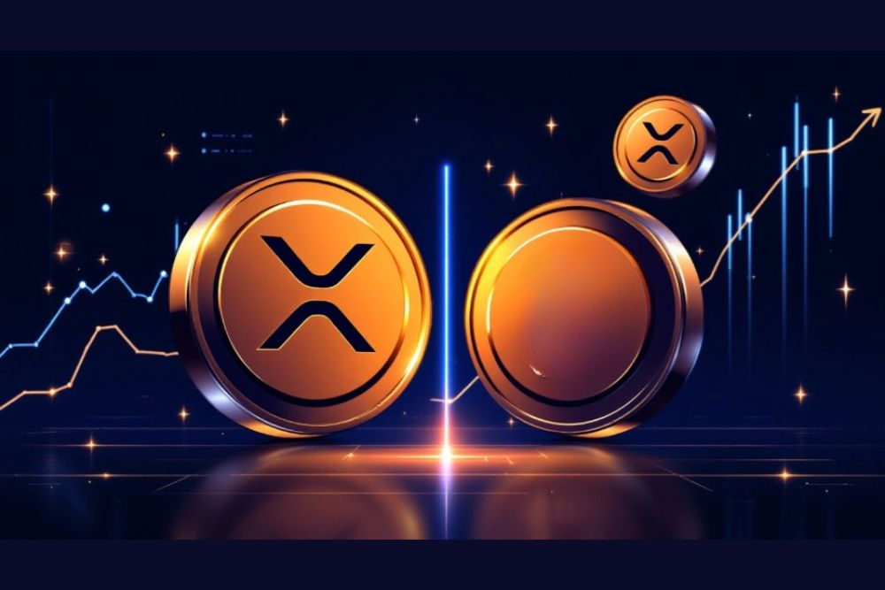 XRP富豪榜：跻身前10%持有者需要多少XRP