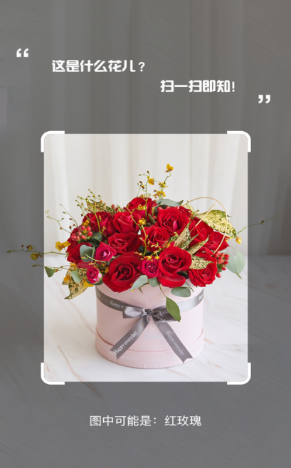 万能识图软件 1