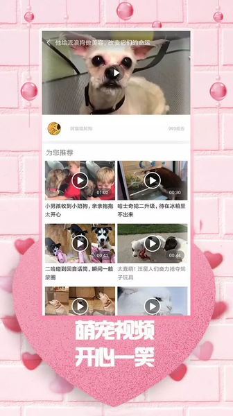 最爱韩剧app 2