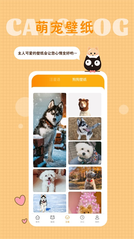 猫语狗语转换器 1