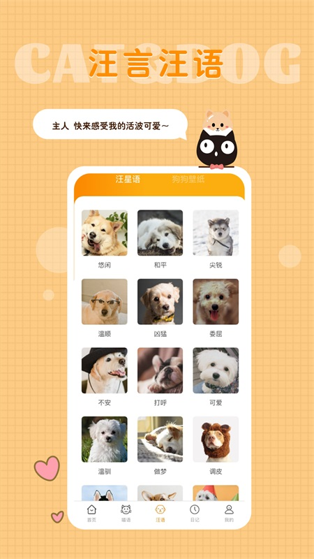 猫语狗语转换器 2