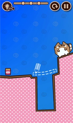 果冻猫 1