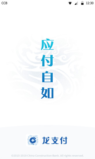龙支付 2
