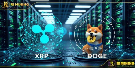 瑞波币（XRP）和狗狗币（DOGE）投资者纷纷加入RI挖矿云挖矿，每日收益高达26,900美元
