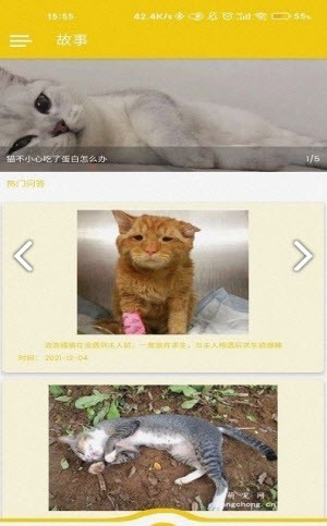 博猫 1