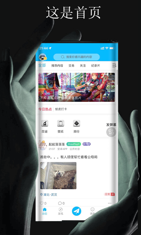 爬宠时代 1
