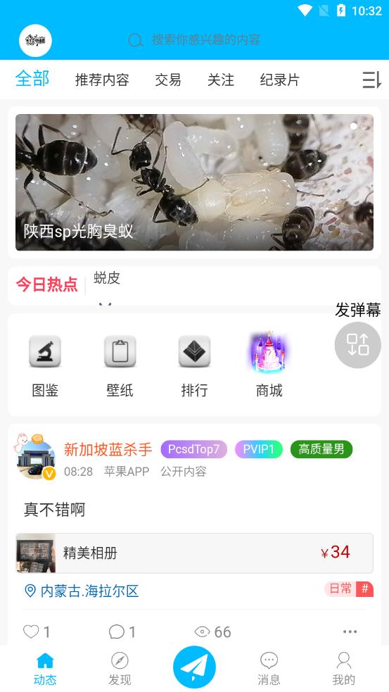 爬宠时代 2