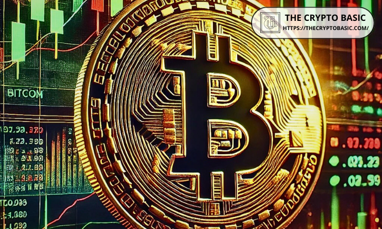 比特币市场繁荣之际，BitGo申请首次公开募股