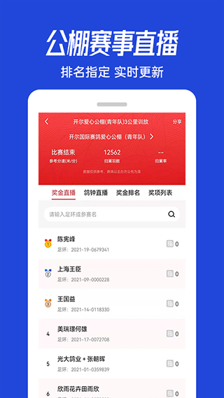青鸽网 2