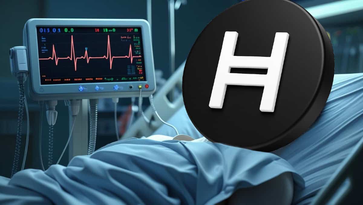 Hedera价格预测：随着鲸鱼持续增持与动能增强，或将重新测试0.32美元关口