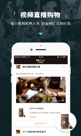 宠宠熊网上商城app 1