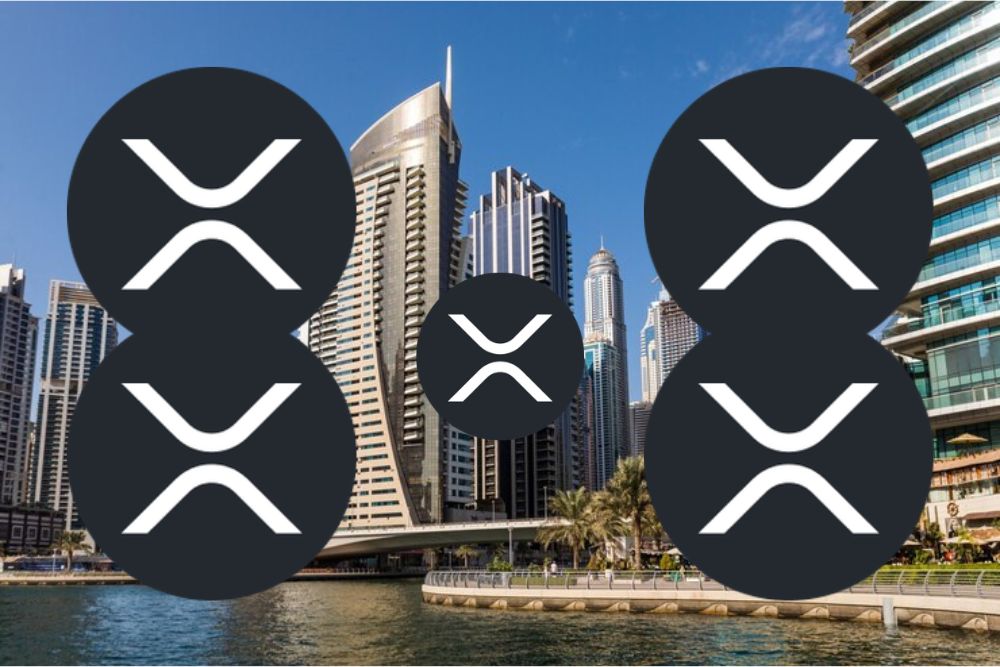 专家称应立即买入2000枚XRP，原因如下