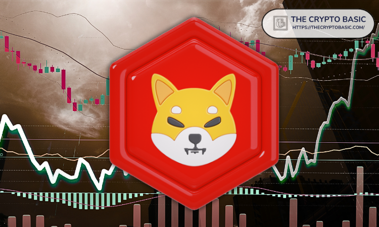 Shiba Inu在"流动性大师课"后的下一个目标