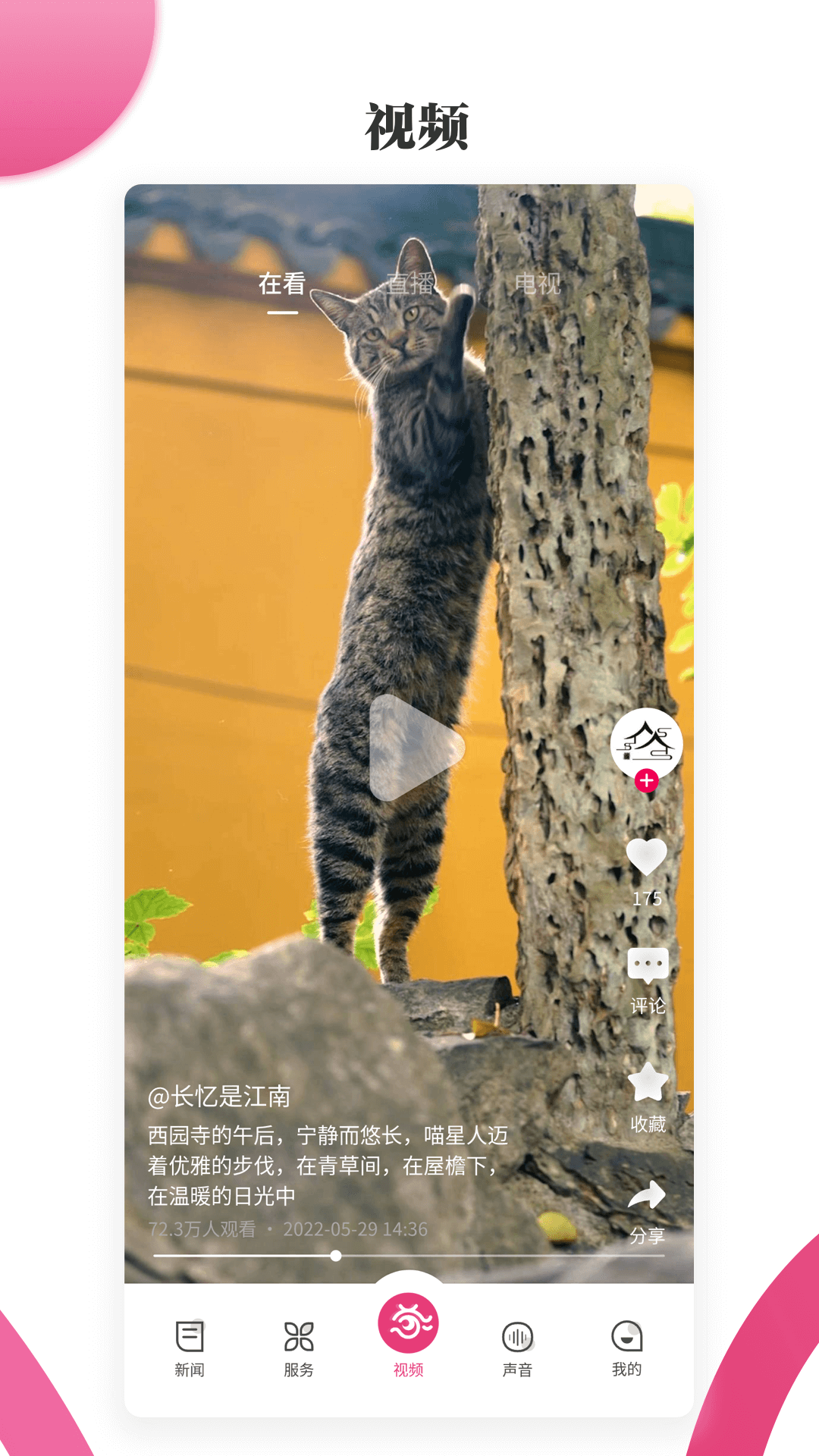 看苏州 2