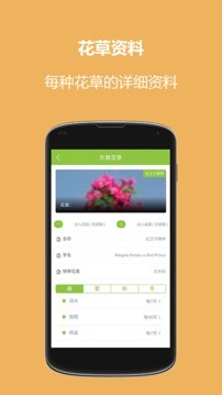 东篱花草 2