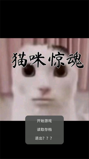 猫咪惊魂 1