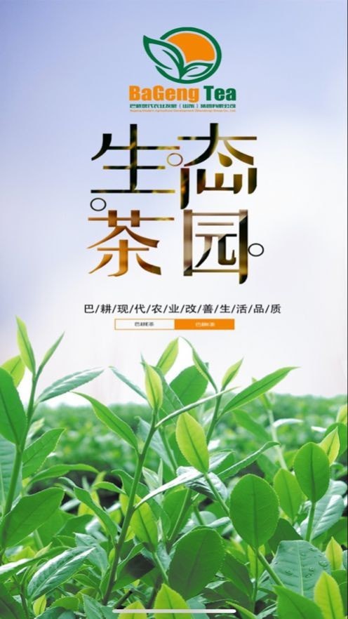 巴耕e茶 1