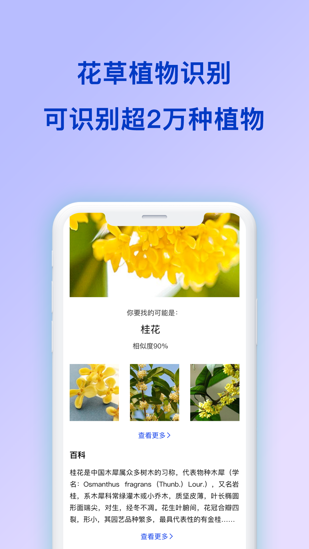 扫描全能王识图 2