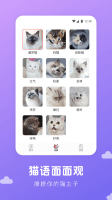 猫语翻译君 1