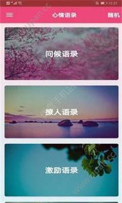 番茄语录 1