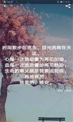 番茄语录 2
