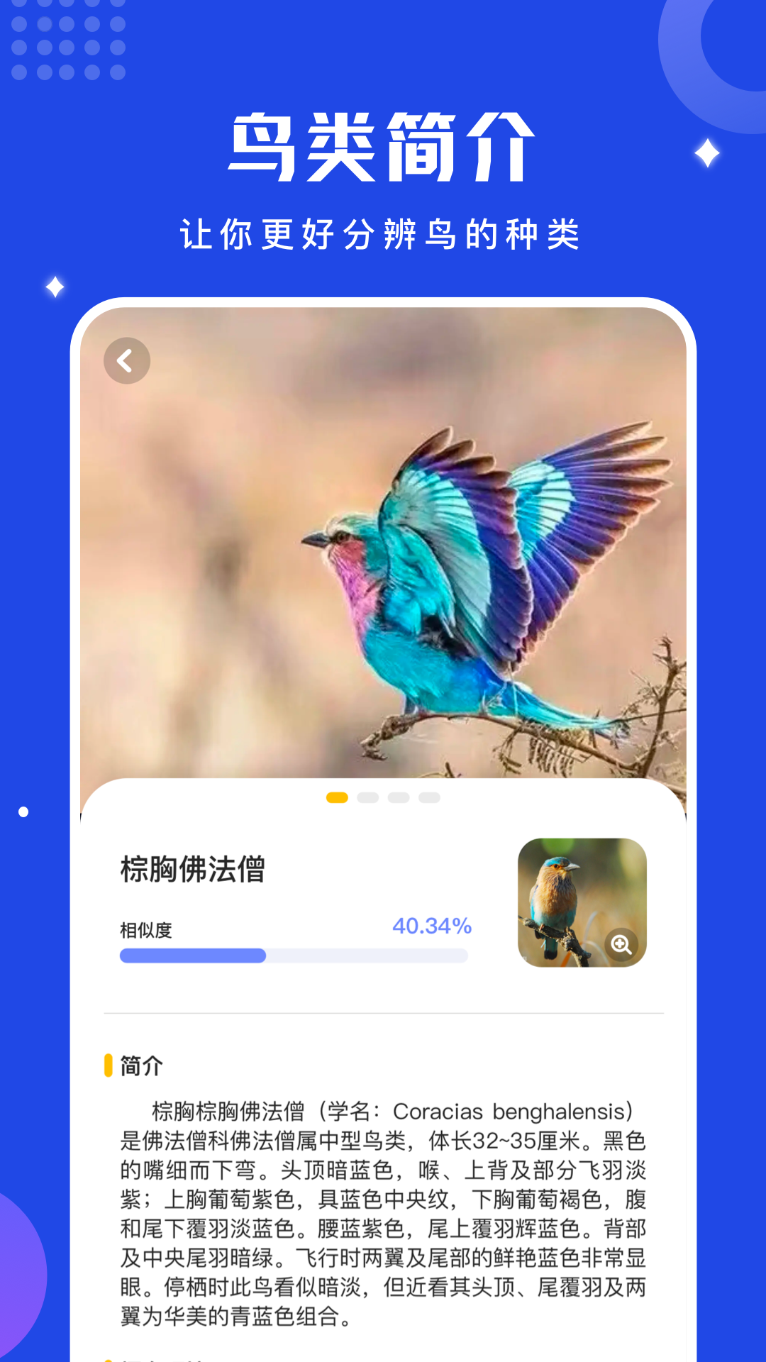 鸟语语言翻译器免费版 2