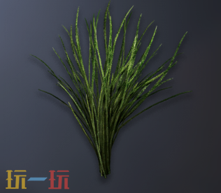 明末渊虚之羽灯芯草有什么用 灯芯草用途介绍