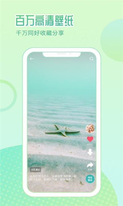 鹦鹉壁纸app 1
