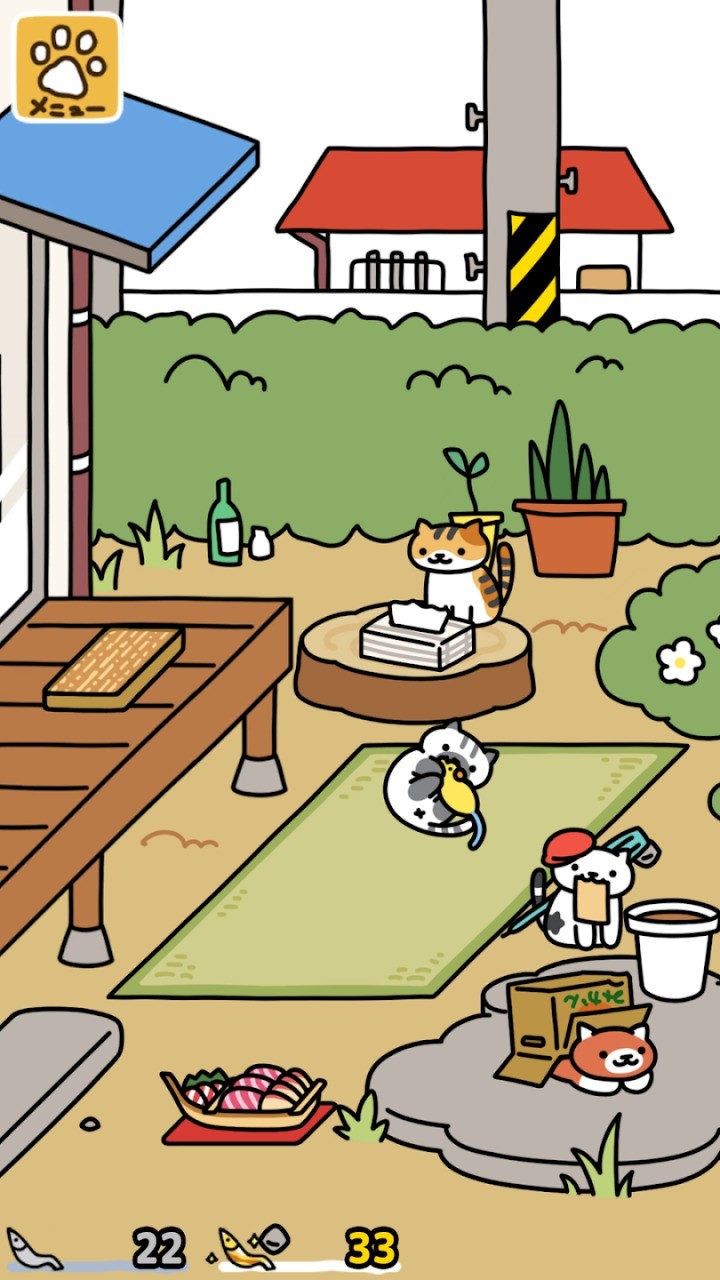 猫咪后院2 2