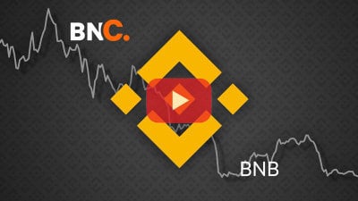 BNB价格飙升至865美元历史新高，看涨势头剑指950美元