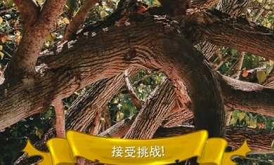 寻找猫隐藏对象3游戏 1