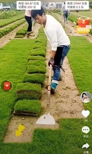 提提乐 1